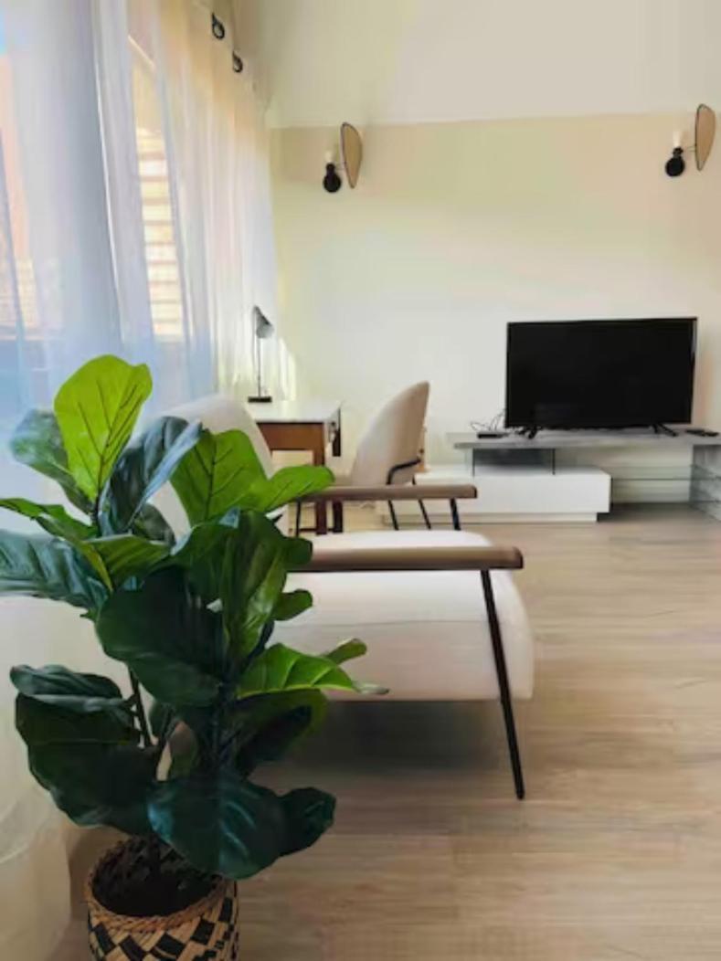 Appartement 50M Du Centre Historique 사흘라 라 카네다 외부 사진