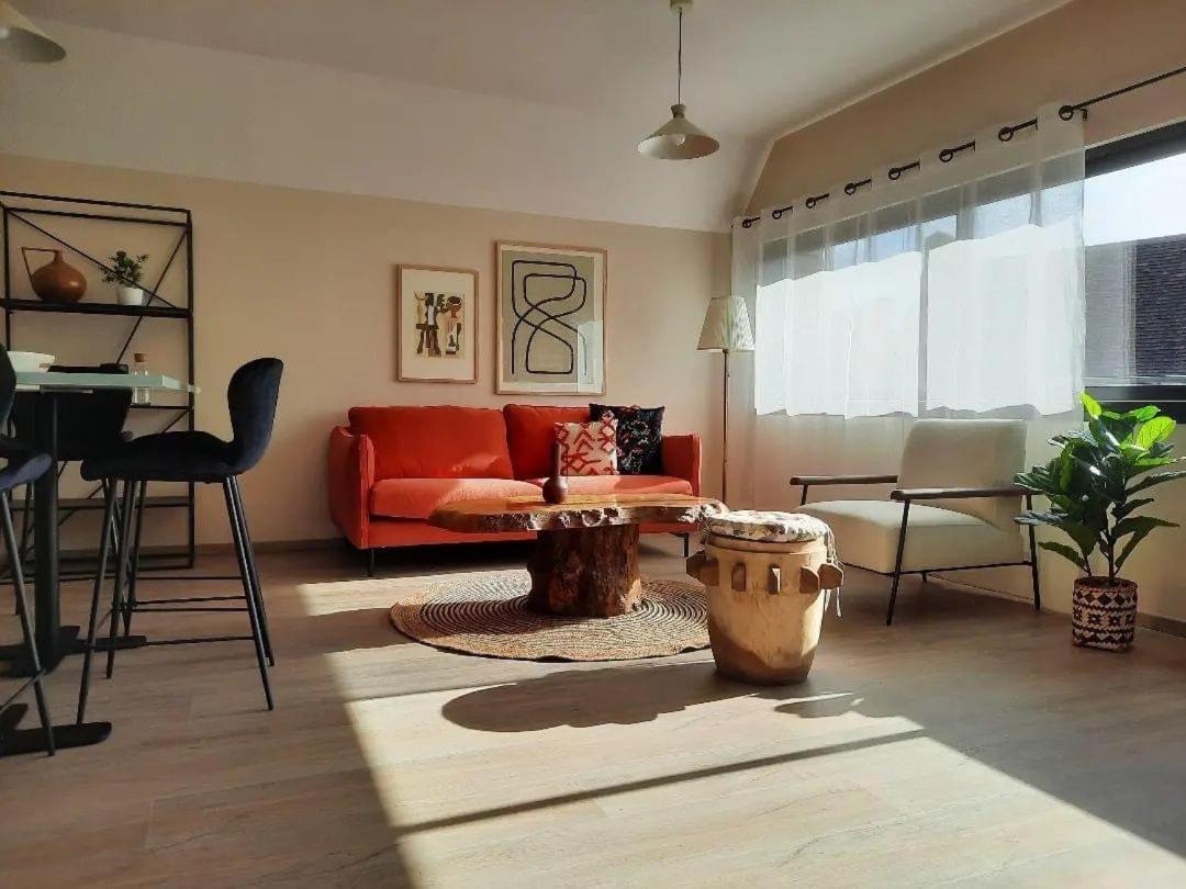 Appartement 50M Du Centre Historique 사흘라 라 카네다 외부 사진